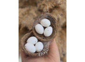 Яйця у гнізді, декоративні