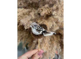 Пташка у гнізді, декоративна