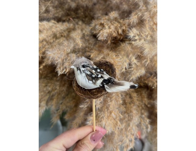 Пташка у гнізді, декоративна