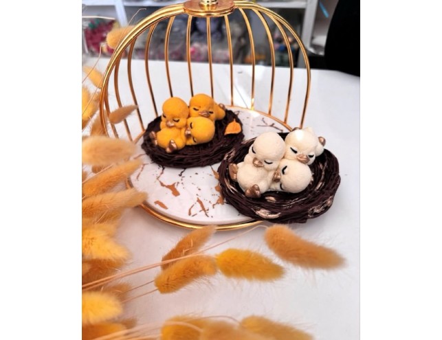 Тріо каченят на гнізді