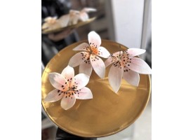 Вафельні лінлії Вафельні лінлії