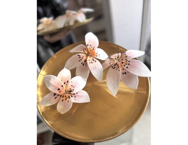 Вафельні лінлії