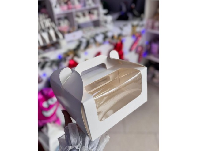 Коробка акваріумна 20х20х11см.