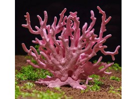 Декор на тортик "Корали" Декор на тортик "Корали"