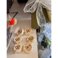 Гніздечко міні