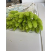 Лагрус в асортименті(світло-зелений)