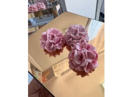 Шоколадна гортензія