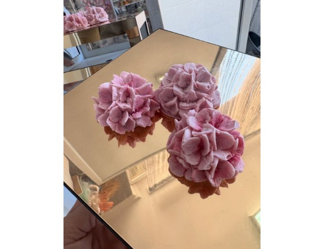 Шоколадна гортензія