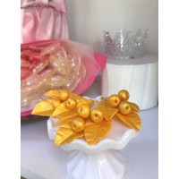 Гілочки листків могнолії золотої 3 набори