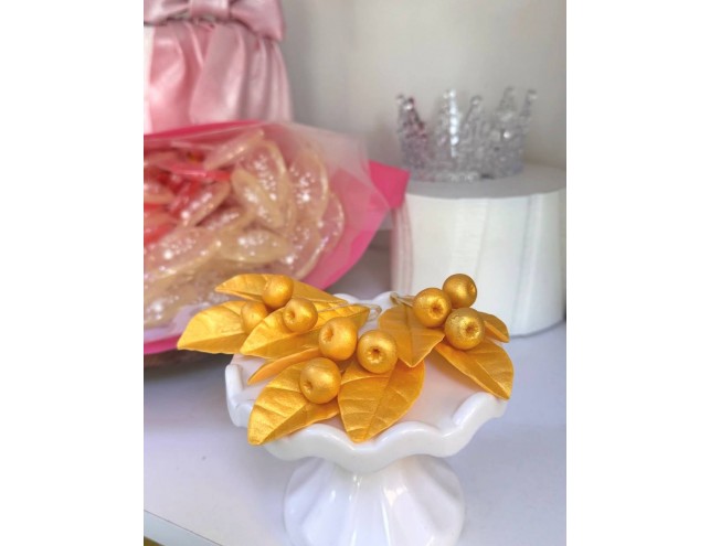 Гілочки листків могнолії золотої 3 набори