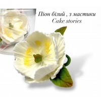 Піон з бутонами цукровий 