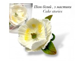 Піон з бутонами цукровий 