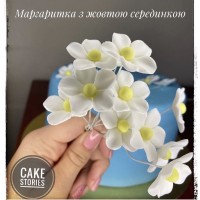 Квіти цукрові "маргаритка"
