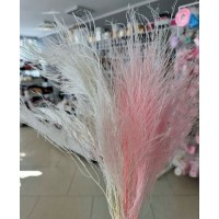 Аспарагус стабілізований 