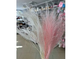 Аспарагус стабілізований 