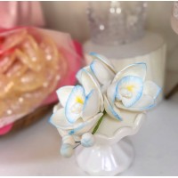 Орхідея цукрова, гілка