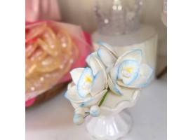 Орхідея цукрова, гілка