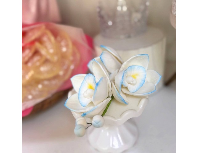 Орхідея цукрова, гілка