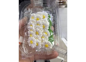 Міні ромашки 