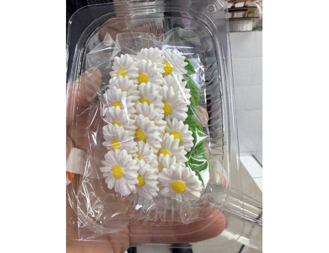 Міні ромашки 