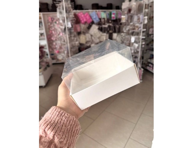 Коробки для бенто "акваріум"