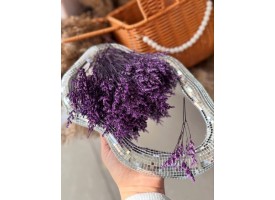 Сухоцвіт фарбований