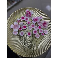 Набір квітів