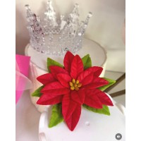 Зимова квітка