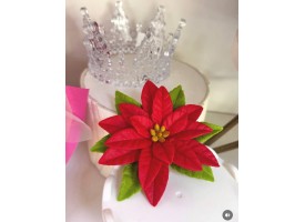 Зимова квітка Зимова квітка