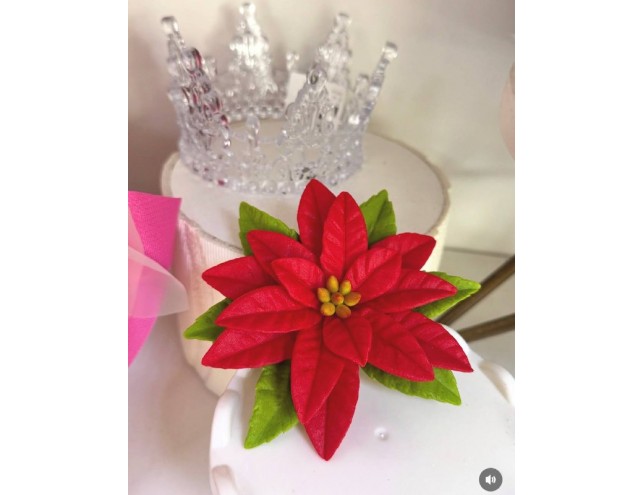 Зимова квітка