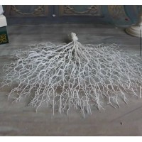 Коралова гілка, декоративна Коралова гілка, декоративна