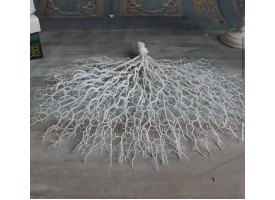 Коралова гілка, декоративна Коралова гілка, декоративна