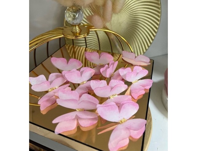 Метелики подвійні, 10шт.