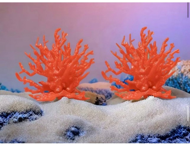 Декор на тортик "Корали", 1 шт.