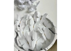 Метелики подвійні з золотом, білі, 10 шт.