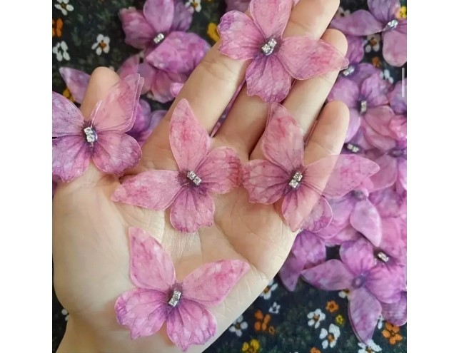 Метелики подвійні з камінцями