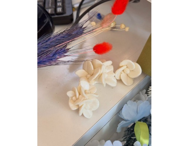 Шоколадні крокуси, 3шт. пучків