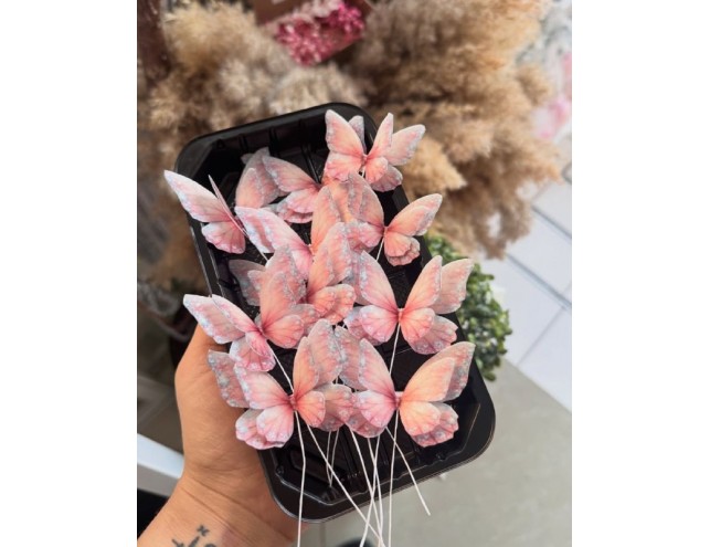 Метелики подвійні кольорові, 10шт.