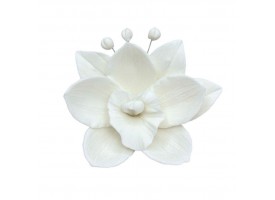 Орхідея з мастики 