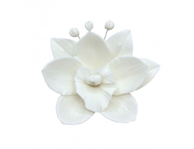 Орхідея з мастики 