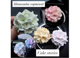 Шоколадна гортензія