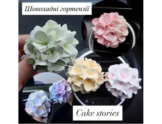 Шоколадна гортензія