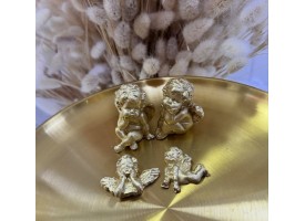 Набір ангеликів