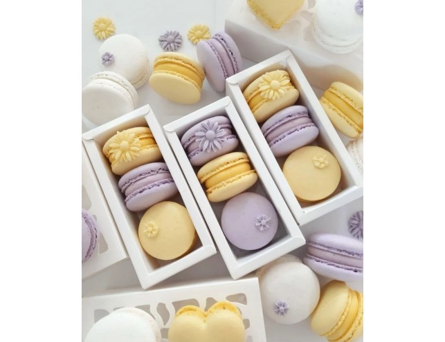 Коробка для макаронс "АКВАРІУМ" з прозорим верхом