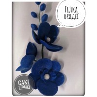Гілка орхідеї