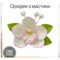 Орхідея з мастики 