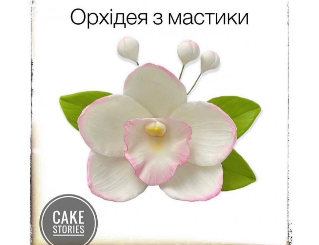 Орхідея з мастики 