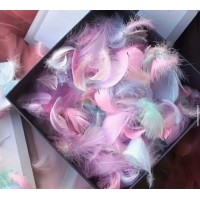 Пір'я оброблене, для декорування  тортиків/10шт