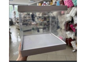 Коробка акваріум 25х25х25см