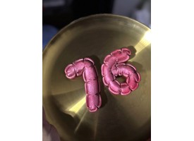 Дуті цифри з мастики розмір 9-10см Дуті цифри з мастики розмір 9-10см